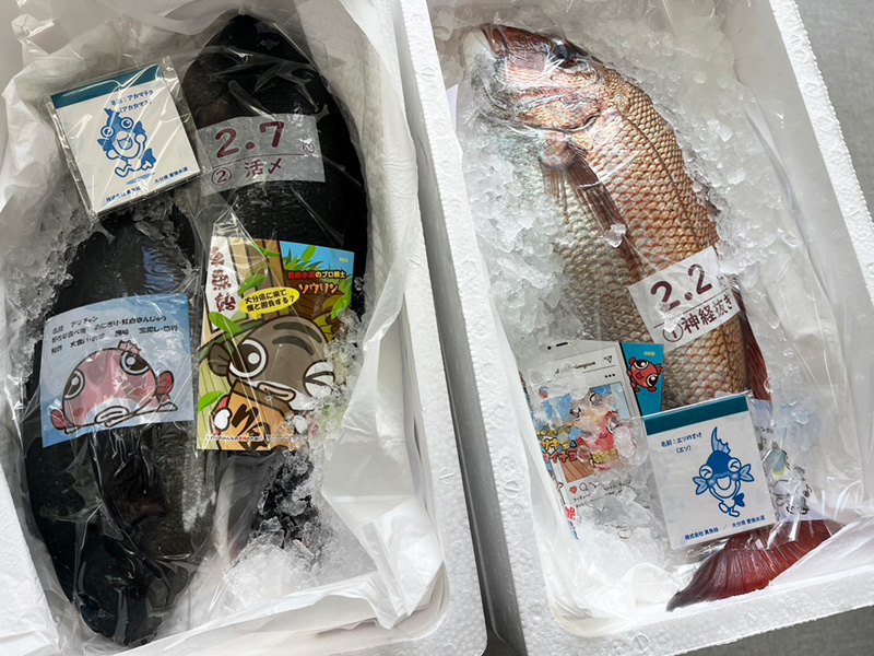 鮮魚の取り扱い現場